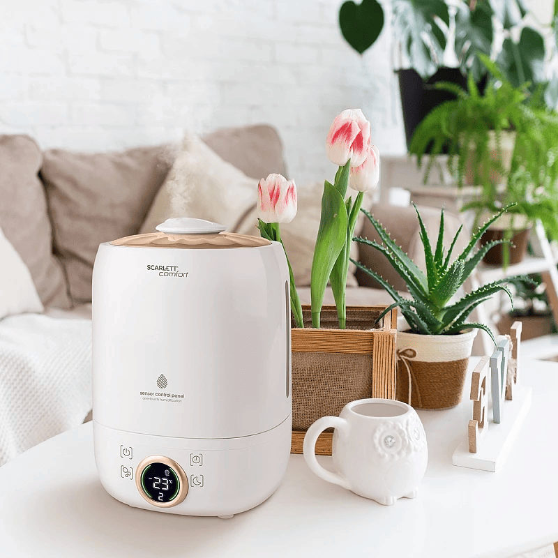 Что можно добавить в увлажнитель воздуха - 6