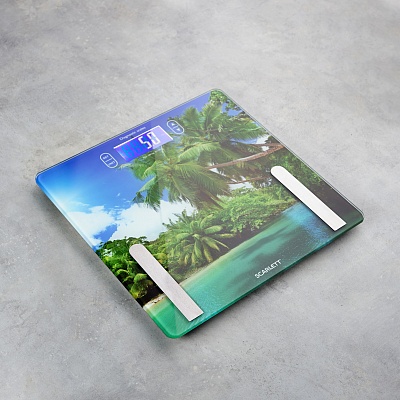 Весы напольные диагностические Scarlett SC-BS33ED12 - 4